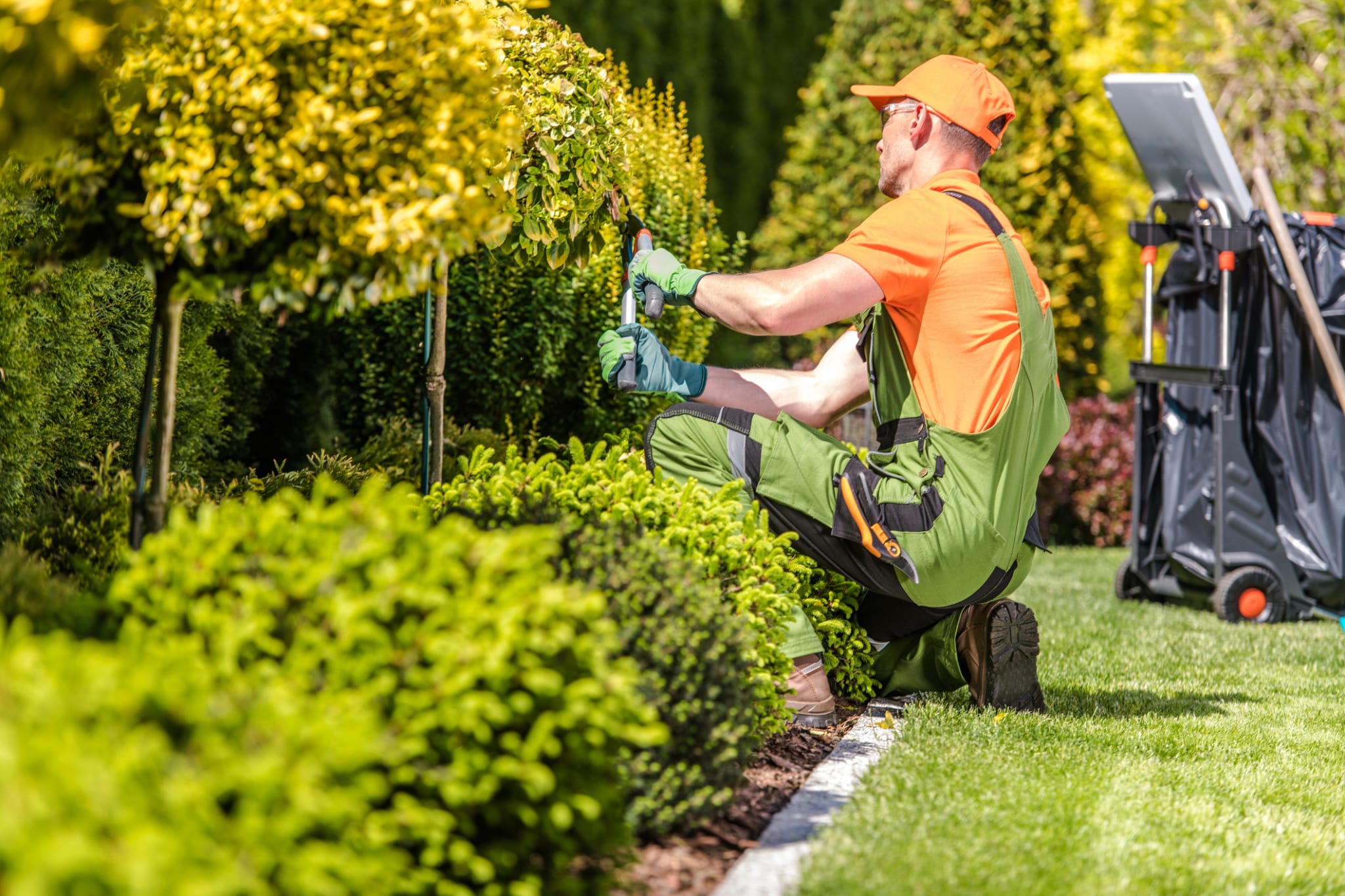 Rivervalley Landscaping crew working on an Edmonton property