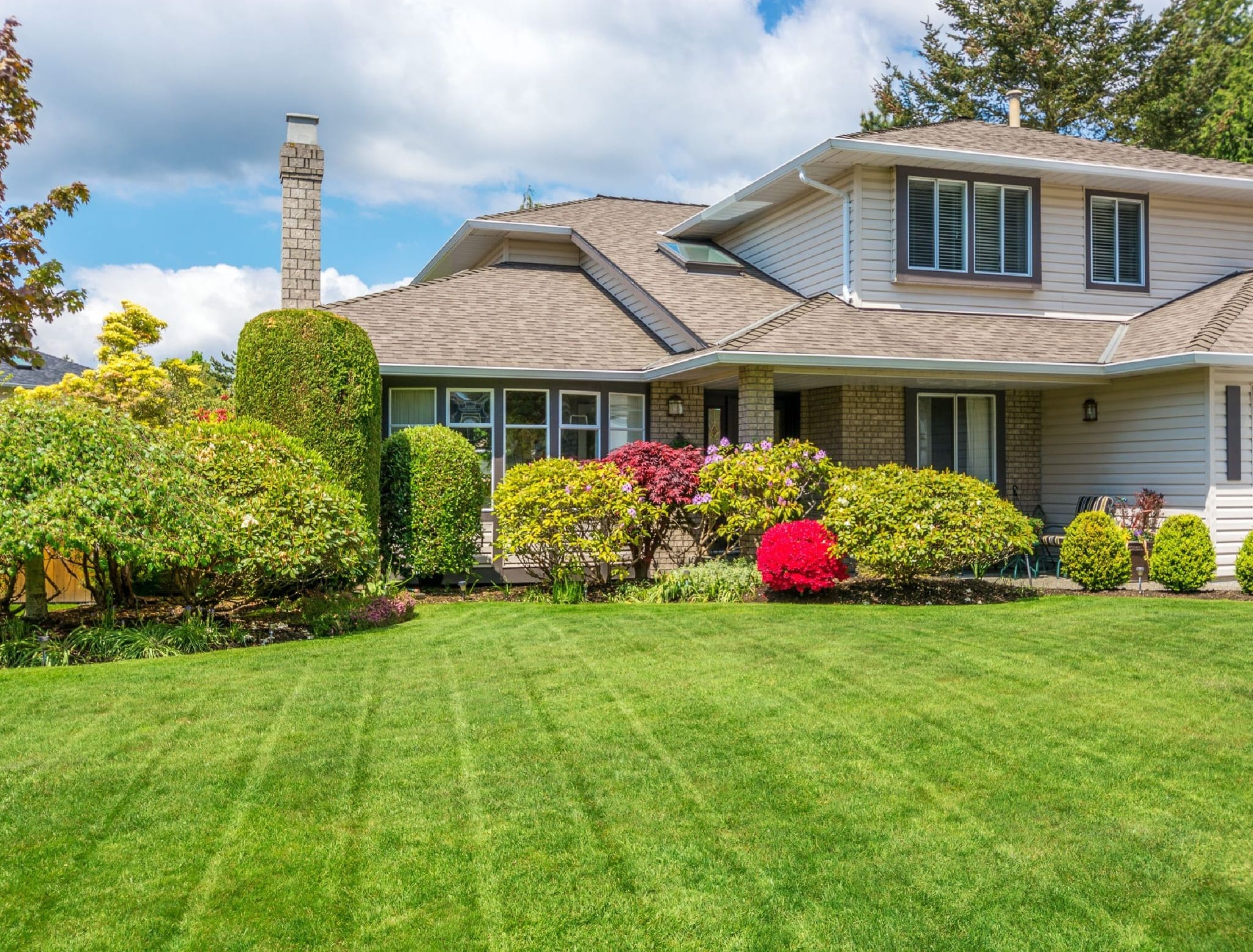 Freshly installed premium sod on a repaired Edmonton lawn